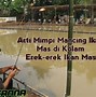 Mancing Dapat Ikan Mas